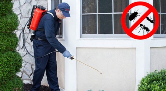 Şile Dezenfeksiyon böcek ilaçlama ve haşere kontrolü — ilaclama-tr.com